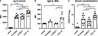 Mucosal immunization with an adenoviral vector vaccine confers superior protection against RSV compared to natural immunity